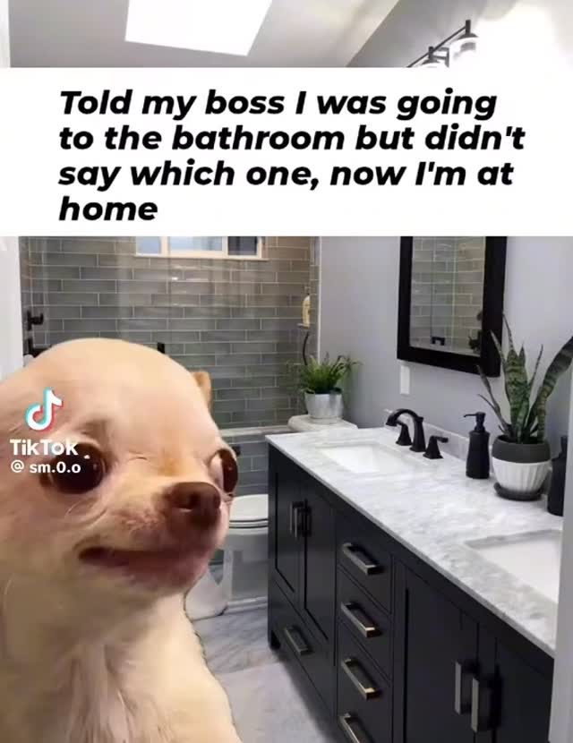 #meme