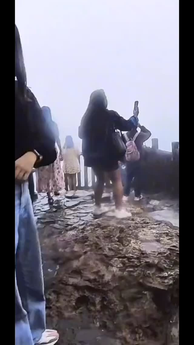 #meme