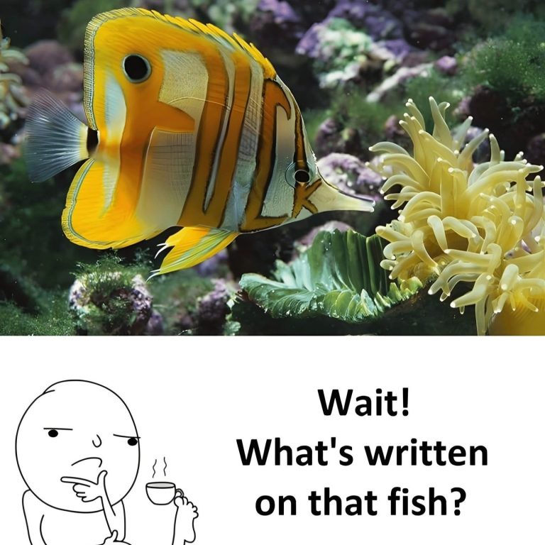 When your brain autocorrects before your mouth does.
#meme